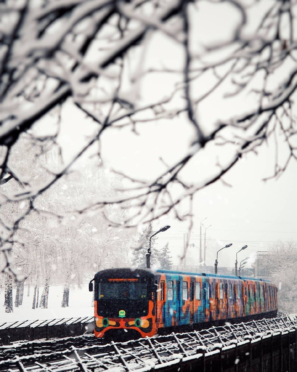 Яркая "гусеничка". Фото: @istetsen Яркая "гусеничка". Фото: @istetsen