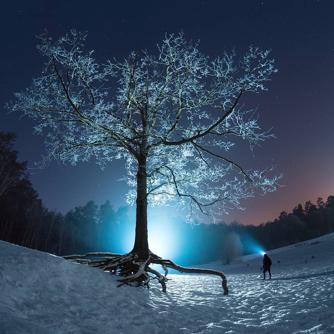 А в Пуще-Водице есть сказочное дерево. Фото: @sooba_booba А в Пуще-Водице есть сказочное дерево. Фото: @sooba_booba