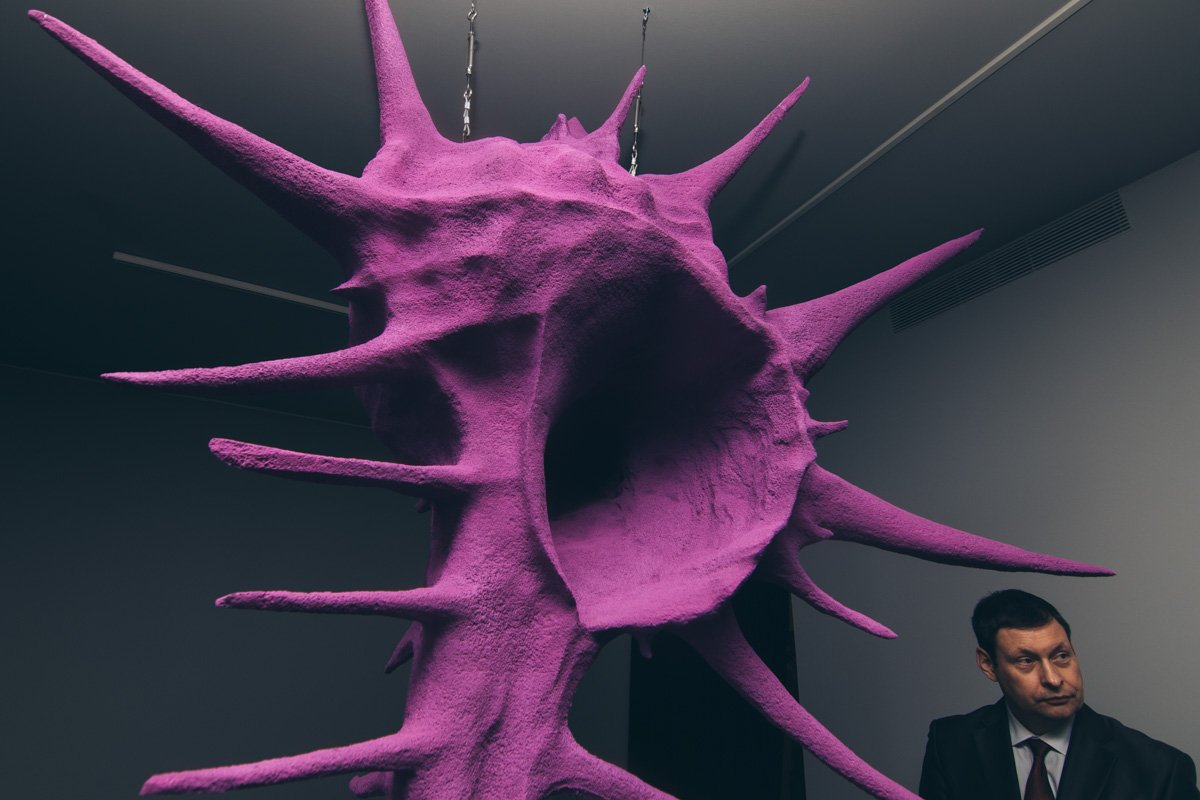 Чтобы добыть фиолетовый пигмент, уже никто не использует ракушки