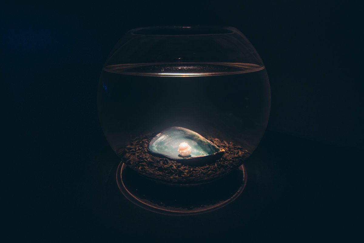 Монира Аль Кадири, «Ныряльщик»