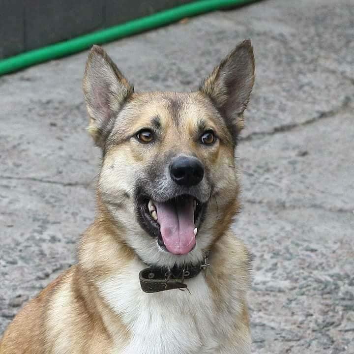 Найда ждет, и обязательно дождется!