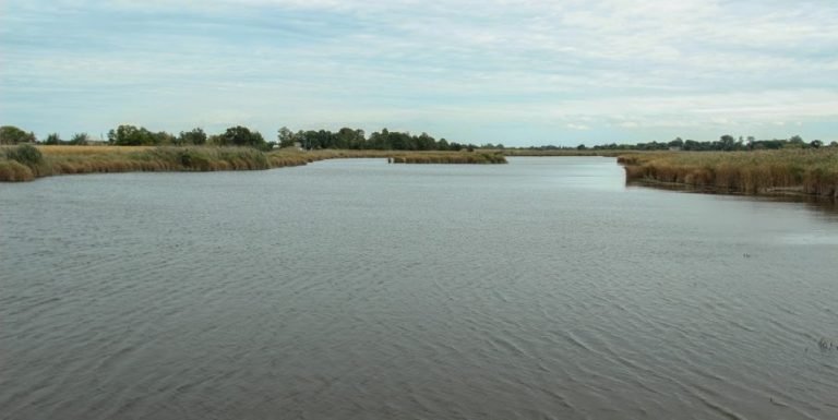 Как спасти реку Днепр: рецепт от Днепропетровской ОГА 3