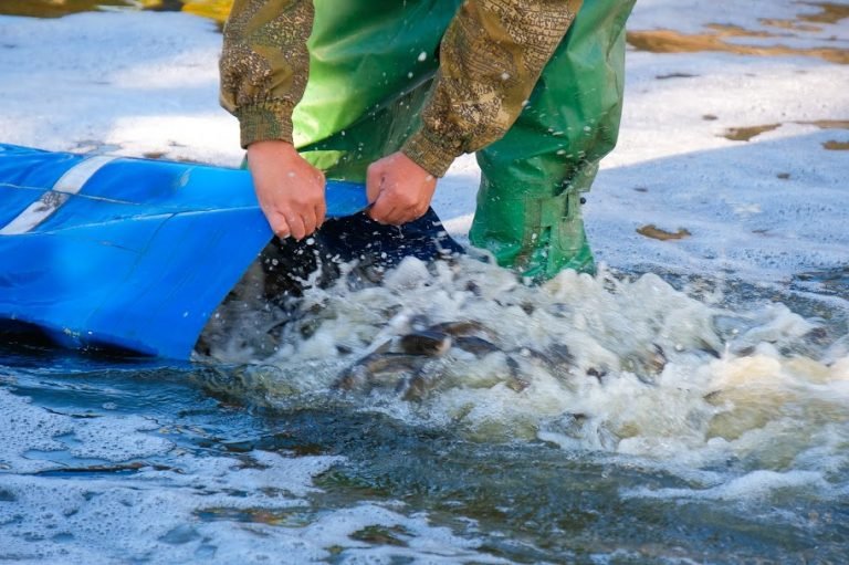 Как спасти реку Днепр: рецепт от Днепропетровской ОГА 6