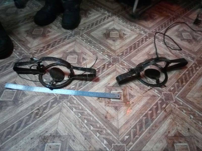 Раненного бобра экстренно госпитализировали в ветеринарную клинику