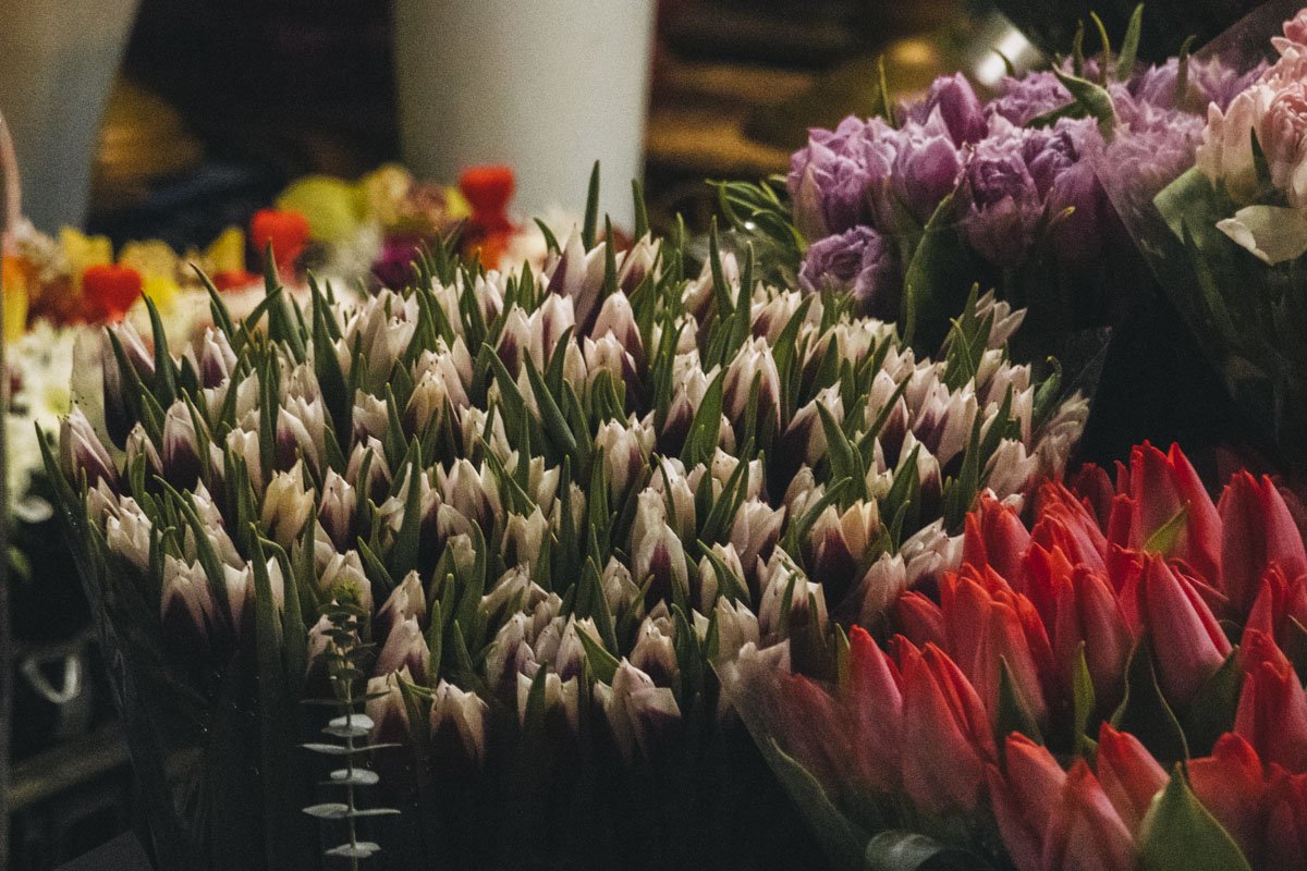 Если вкратце - цены либо не выросли совсем, либо поднялись на 10-20 гривен