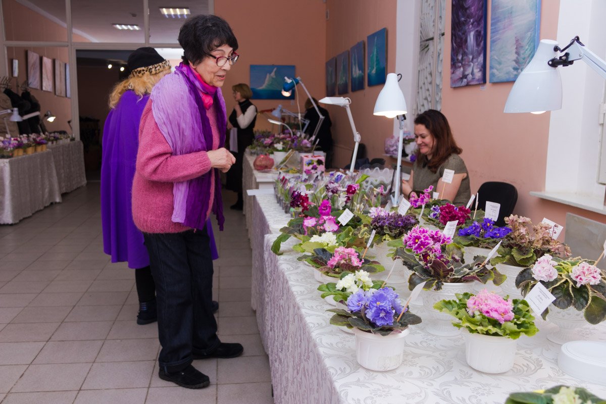 Экспозиции устраивают несколько раз в год Экспозиции устраивают несколько раз в год