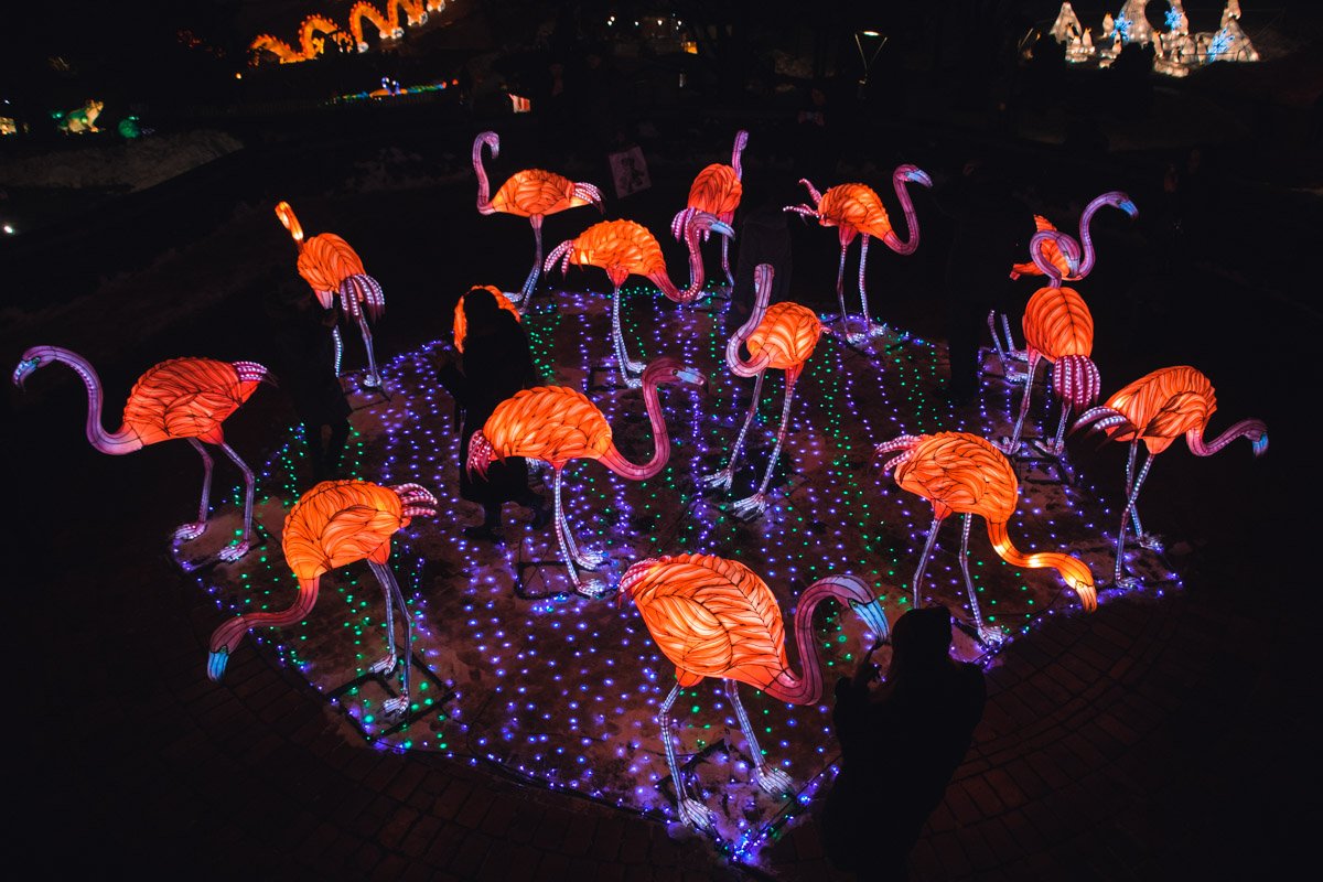 На Певческом поле проходит первый в Восточной Европе фестиваль гигантских китайских фонарей