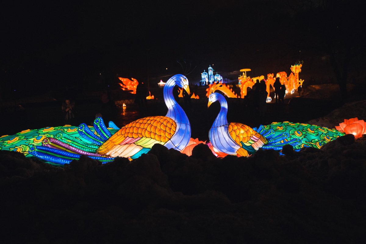 Фестиваль китайских фонарей - это одна из самых известных и посещаемых выставок, которая проводилась в более чем 40 странах мира