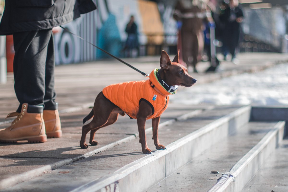 У кого-то счастливые лица, у кого-то - мордашки