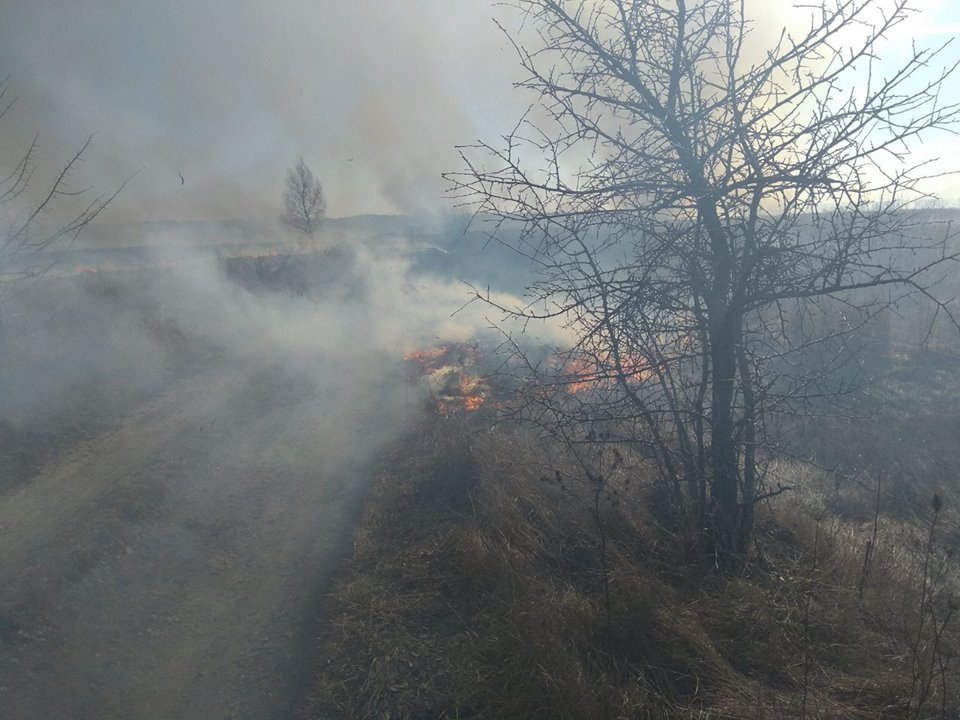 Под Киевом происходят массовые пожары по вине самих людей, которые палят сухую траву