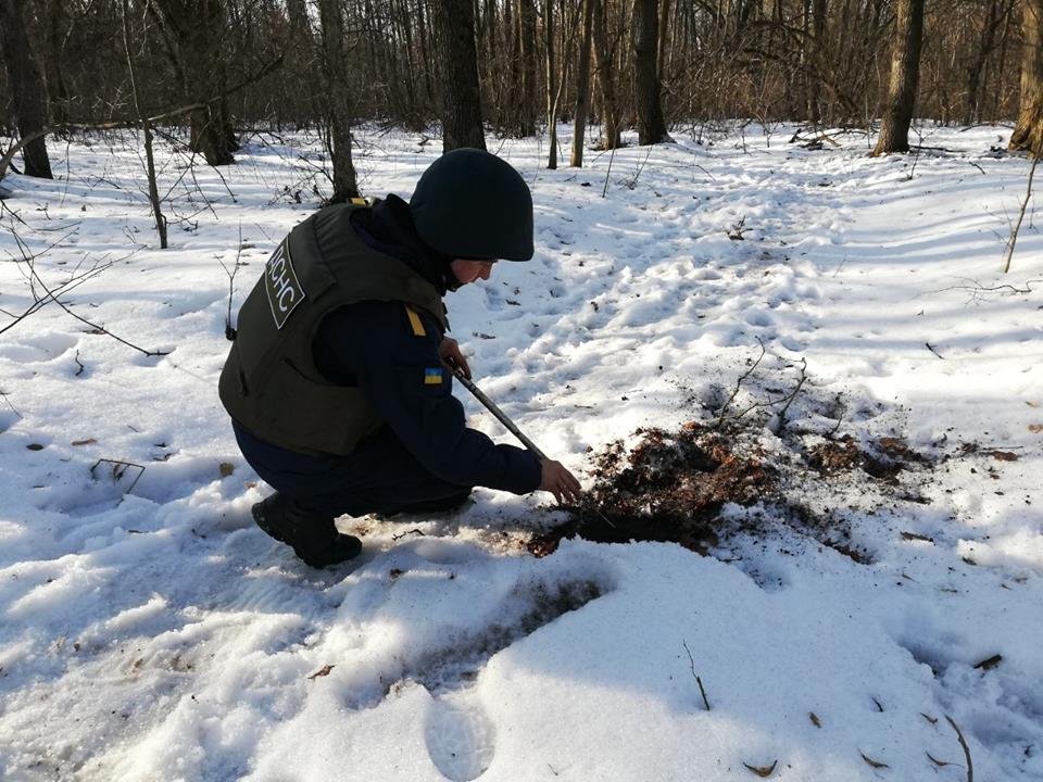 В селе Фурсы (Киевская область) пиротехники ГСЧС обнаружили восемь взрывоопасных предметов