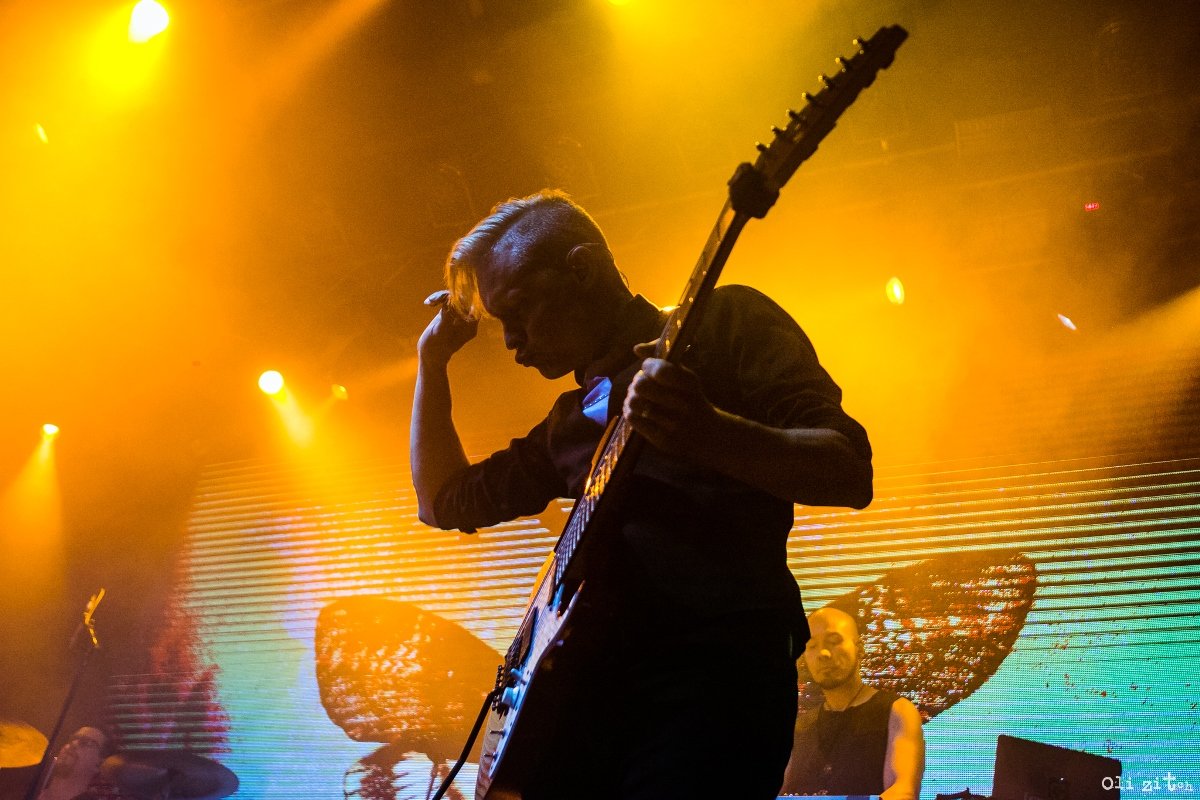 Живые концерты - это всегда потрясающе Живые концерты - это всегда потрясающе