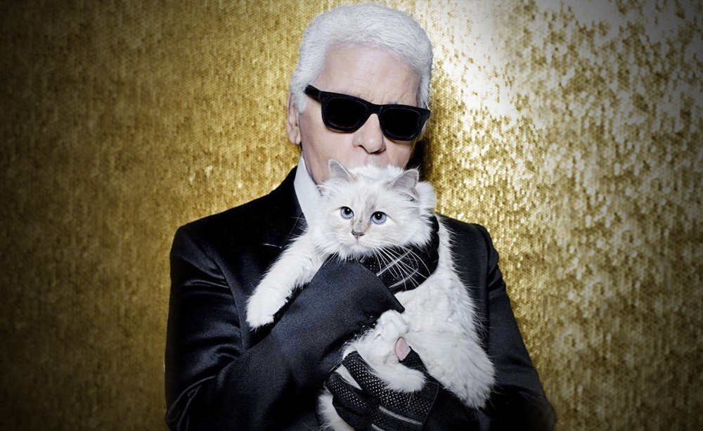 Одна из наследниц Карла Лагерфельда - его кошка Шипетт