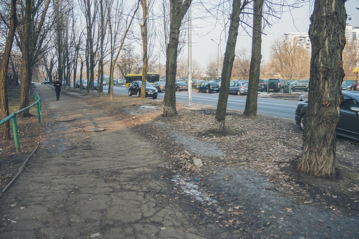 Также улицу планируют сделать комфортной для маломобильных групп населения Также улицу планируют сделать комфортной для маломобильных групп населенияТакже улицу планируют сделать комфортной для маломобильных групп населения