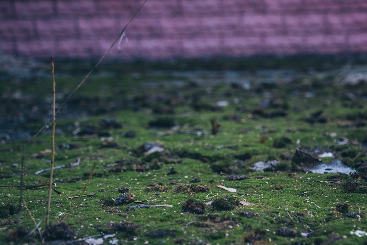 Территорию дворика в детском саду не расчищают Территорию дворика в детском саду не расчищают