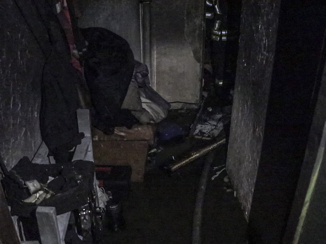 К счастью, они не пострадали, но погиб их питомец - декоративная крыса К счастью, они не пострадали, но погиб их питомец - декоративная крыса