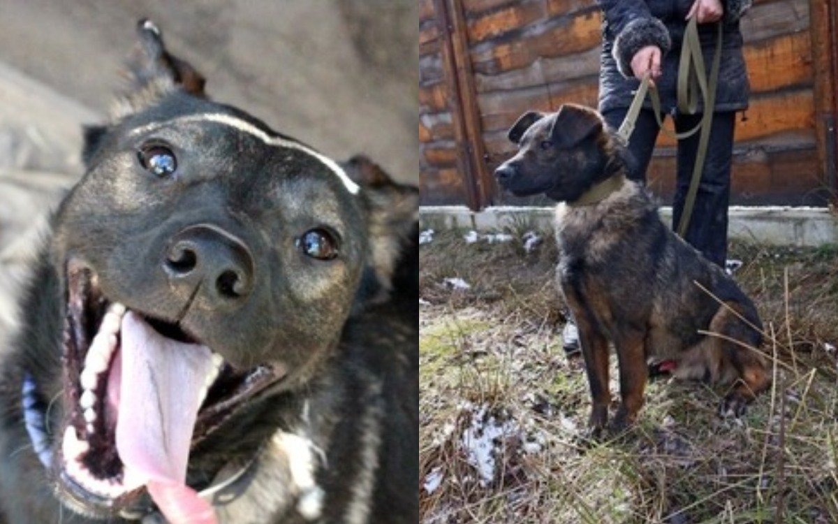 Паркур - сорванец и душа компании Паркур - сорванец и душа компании