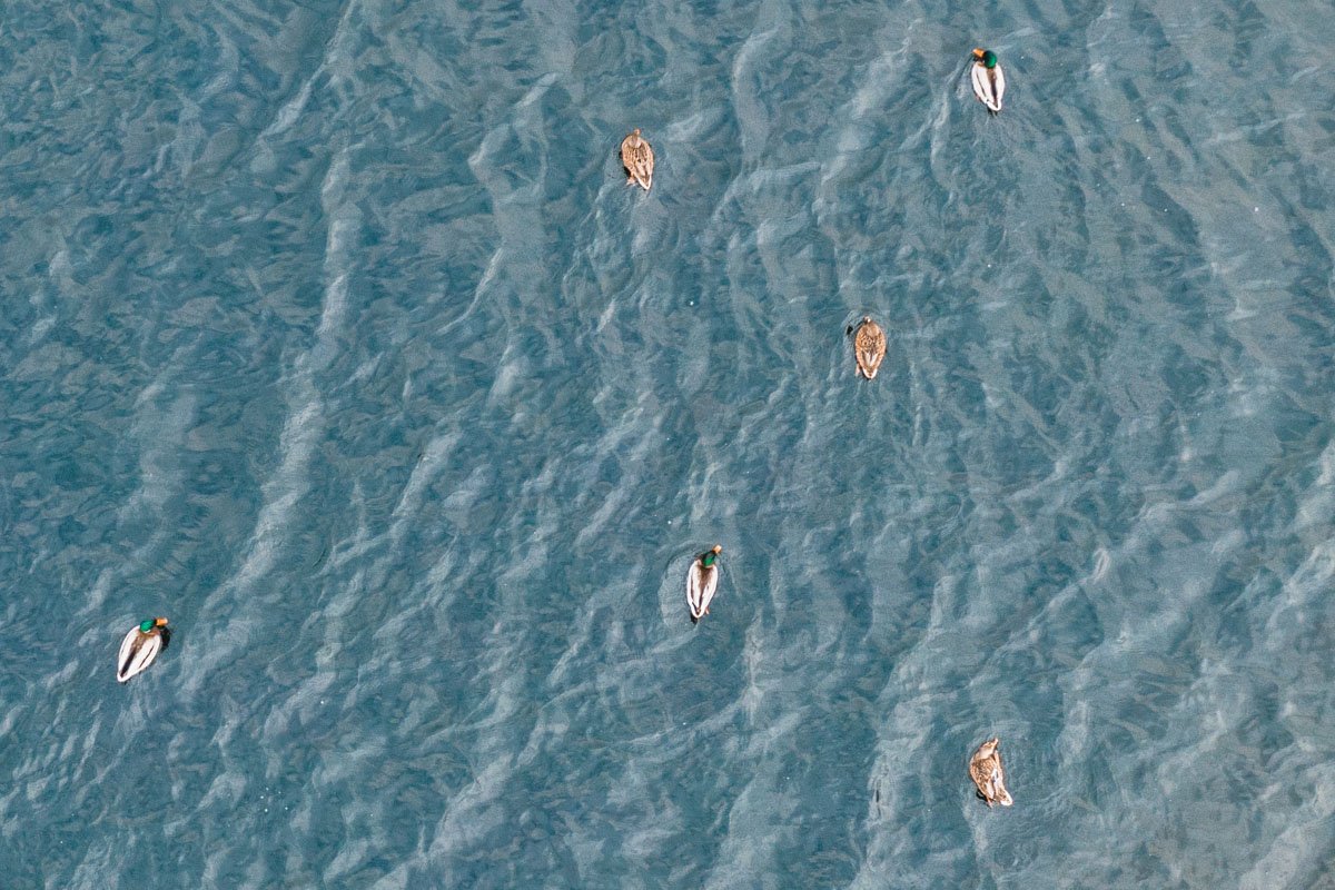 На одну семью достаточно 10-12 буханок белого хлеба