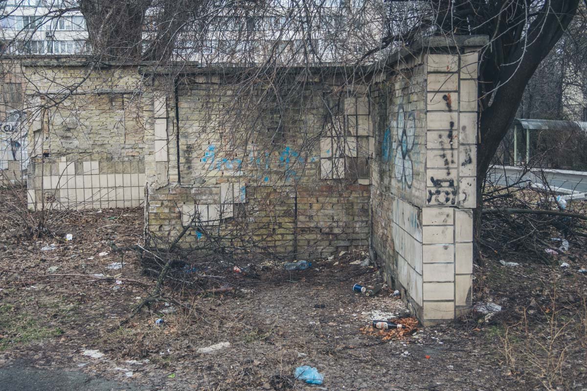 Задний двор также завален большим количеством мусора Задний двор также завален большим количеством мусора