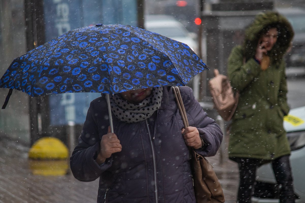 Прячется от погоды под симпатичным зонтиком 