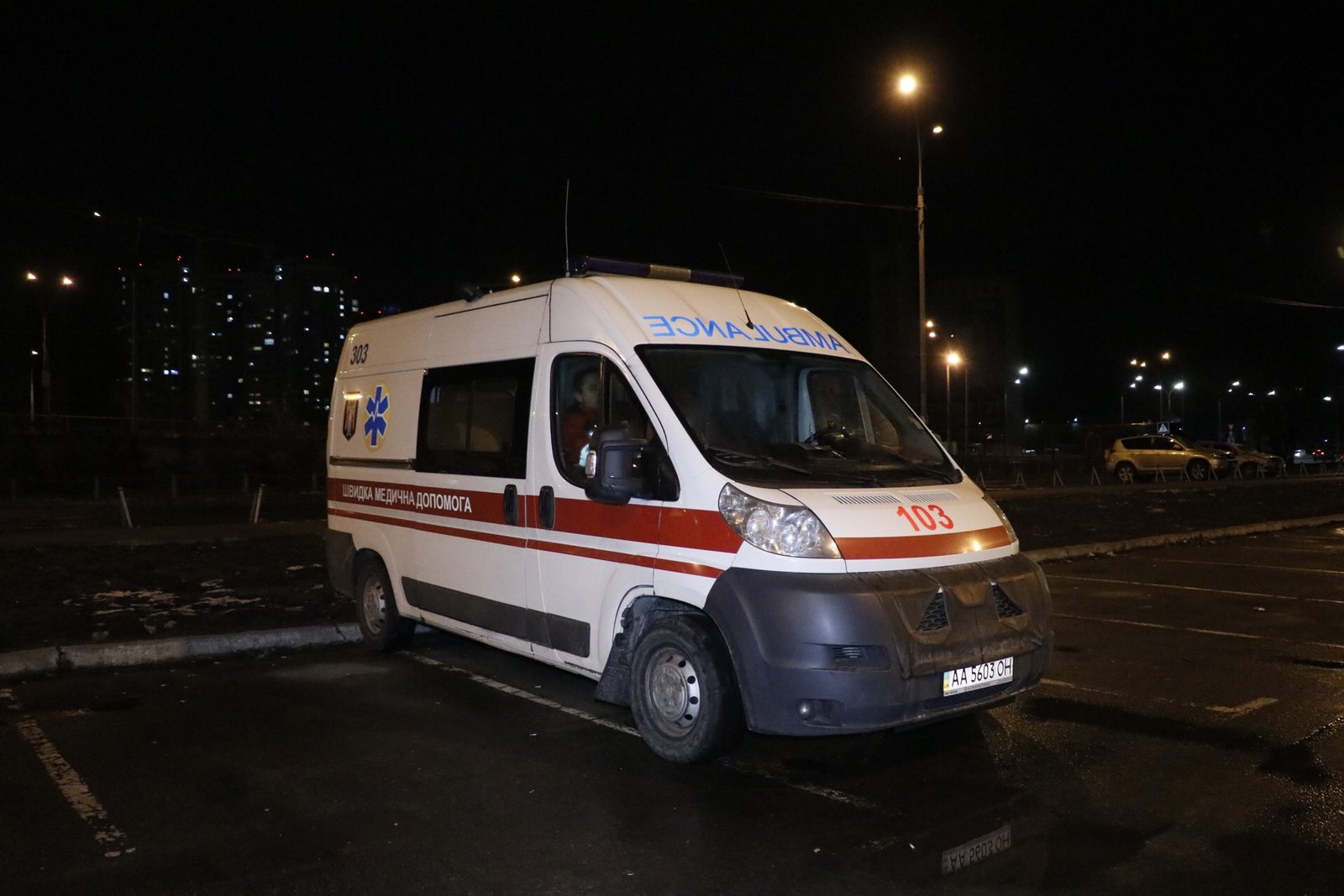 На место сразу выехали патрульные, спасатели, медики и взрывотехники