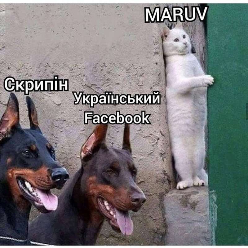 Люди видят этот отбор вот так Люди видят этот отбор вот так