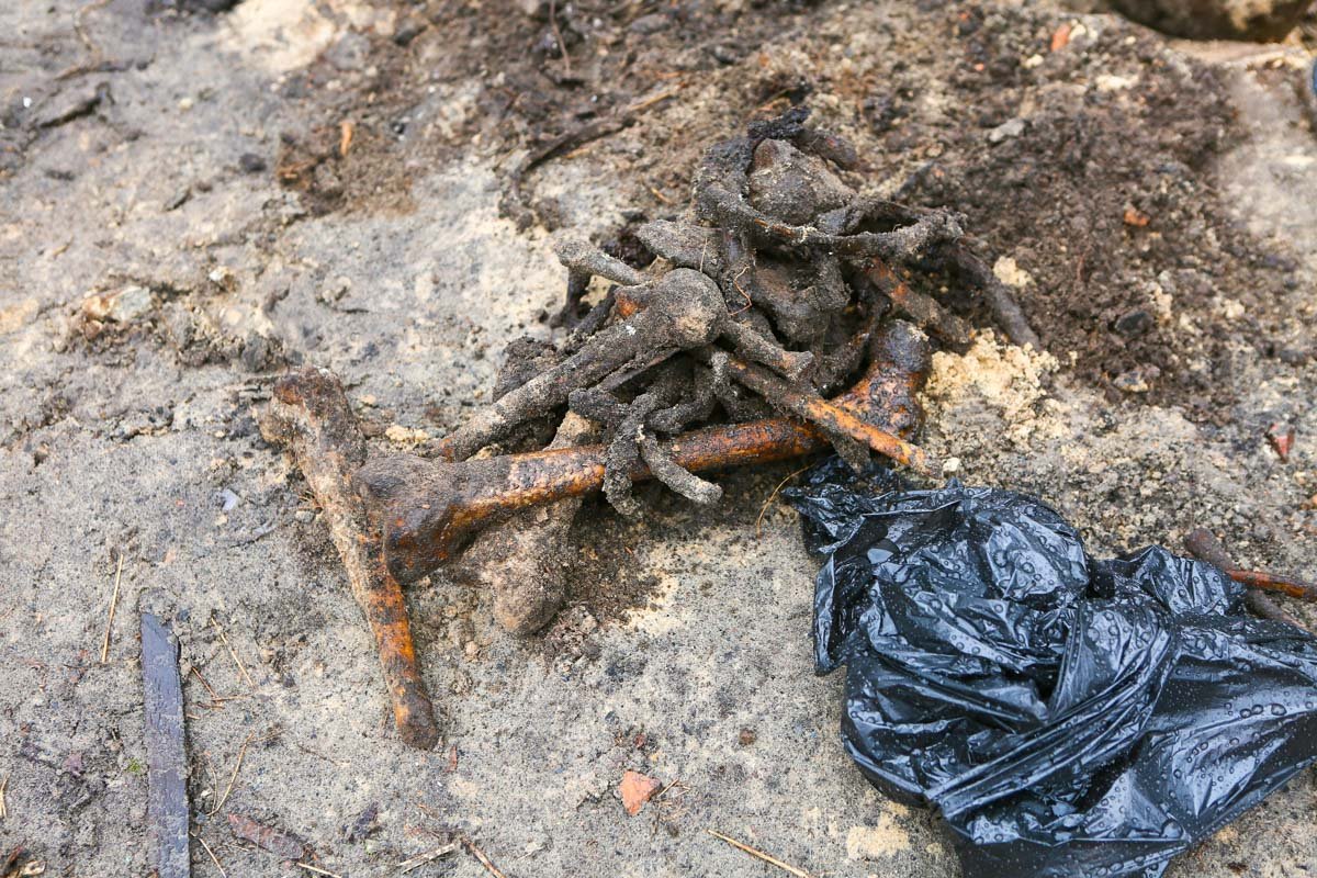 Останки обнаружили сотрудники Киевзеленстроя ,которые проводили уборку территории