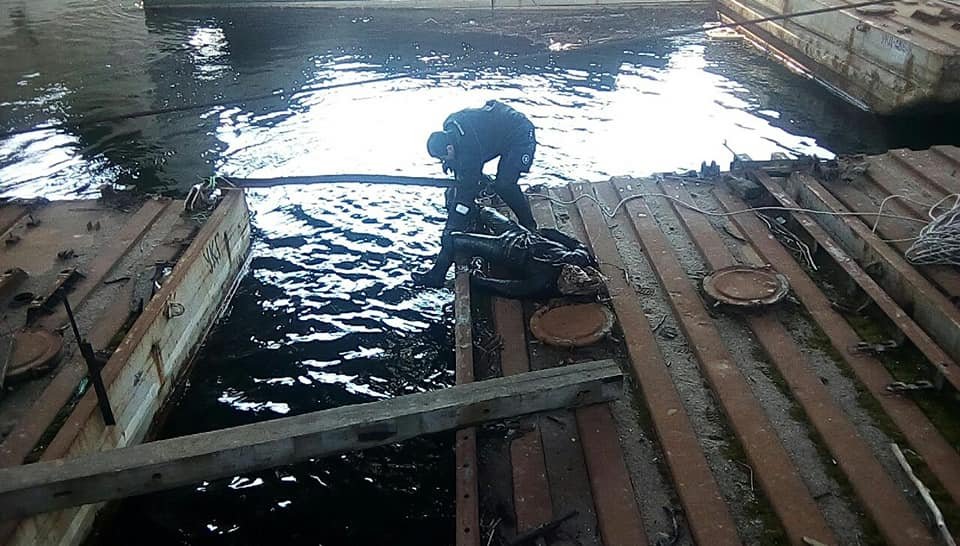 В Днепре под Дарницким мостом обнаружили тело мужчины
