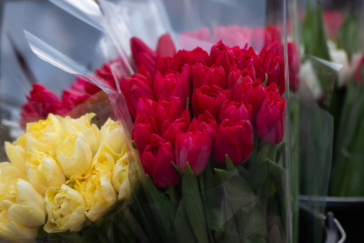 Там возникла стихийная цветочная ярмарка, которая растянулась почти по всему Золотоворотскому проезду Там возникла стихийная цветочная ярмарка, которая растянулась почти по всему Золотоворотскому проезду