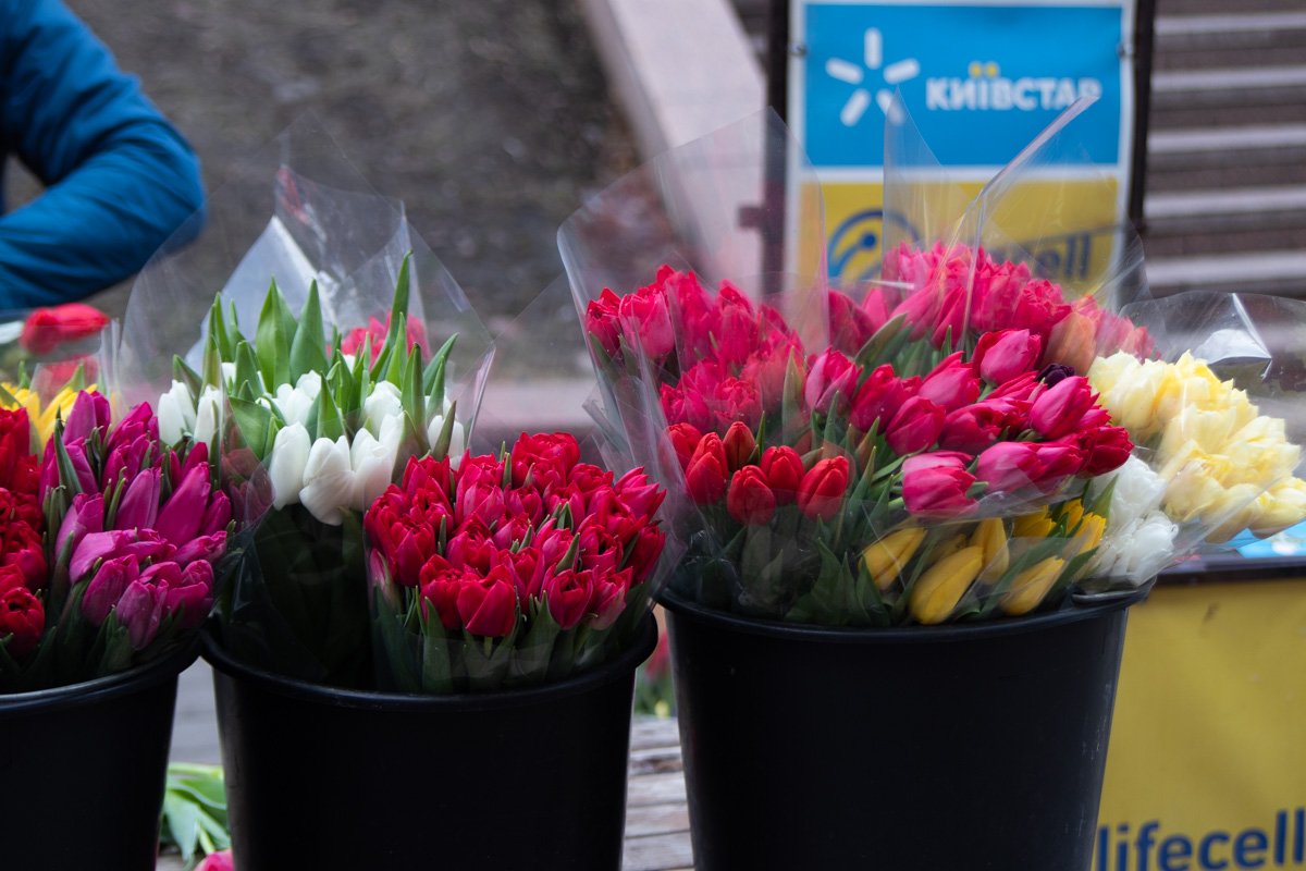 Цена на тюльпаны варьировалась от 20 до 30 гривен за цветок, розы продавали в среднем за 25 гривен Цена на тюльпаны варьировалась от 20 до 30 гривен за цветок, розы продавали в среднем за 25 гривен