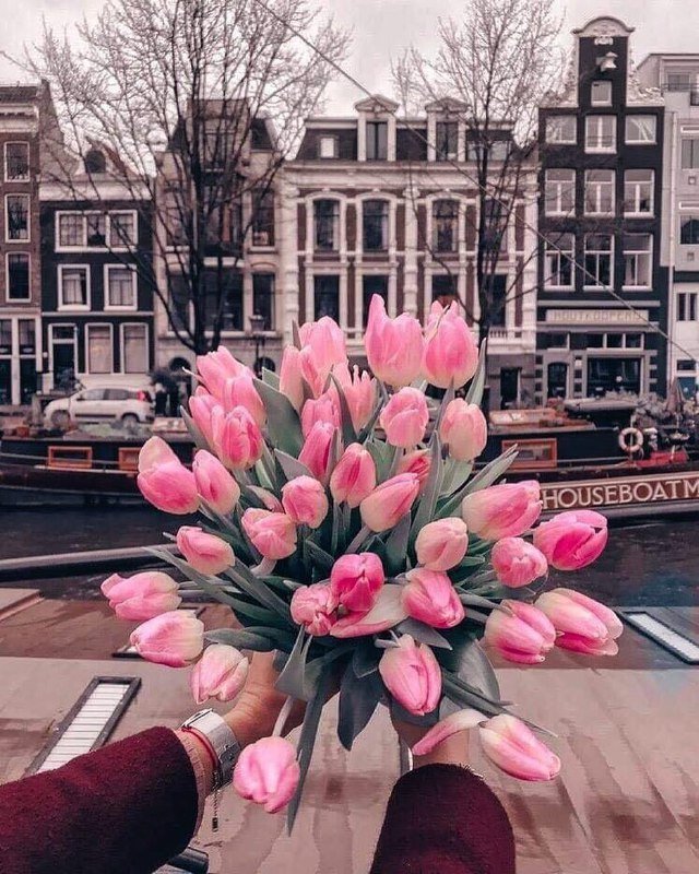 Когда от твоего розового букета мир вокруг тоже становится розовым. Фото: @isan.ua Когда от твоего розового букета мир вокруг тоже становится розовым. Фото: @isan.ua