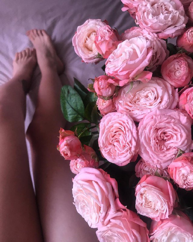 Ножек, роз и розового много не бывает, не так ли? Фото: @jgordaya Ножек, роз и розового много не бывает, не так ли? Фото: @jgordaya