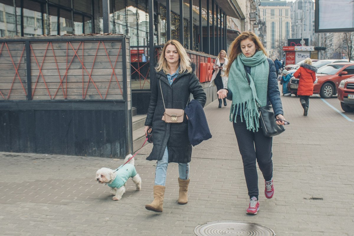 Девочки-песики тоже сегодня гуляли с довольными мордашками Девочки-песики тоже сегодня гуляли с довольными мордашками