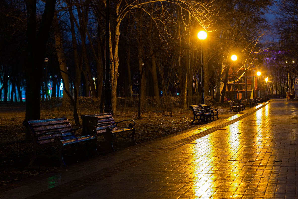 Рассвет занимается над Соломенским парком