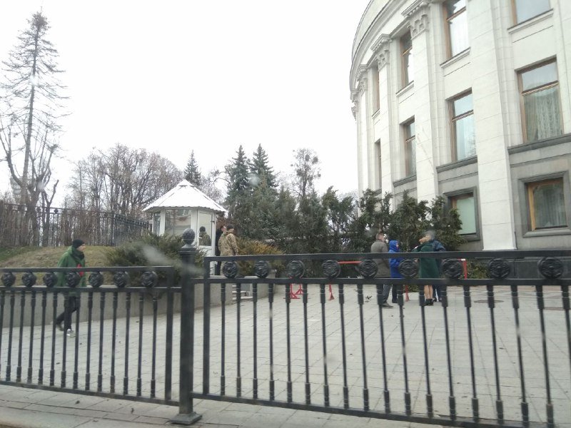 Ветер повалил огромную сосну возле Верховной Рады