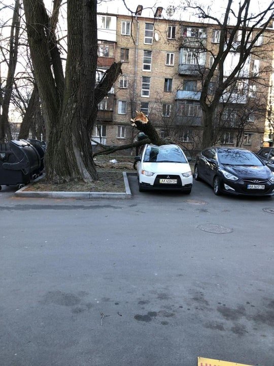 Правда, люди, к счастью, не пострадали