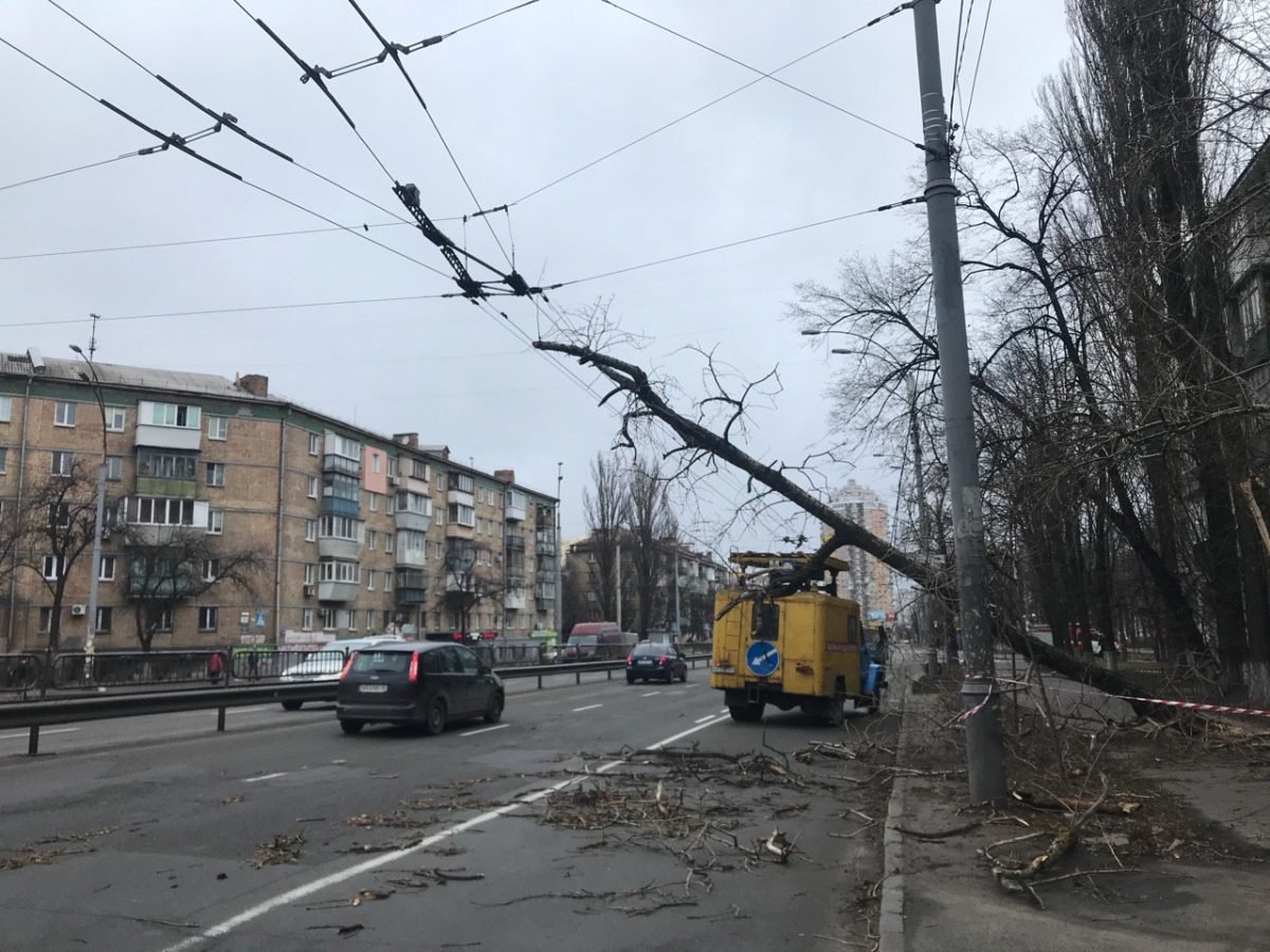 Падающие деревья очень часто срывают провода