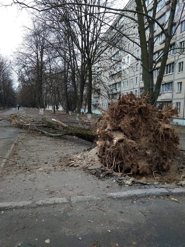 30 метро в секунду - это вам не шутки