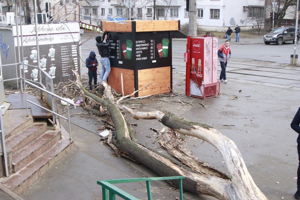 Предварительно, от удара у пострадавшего сломана нога