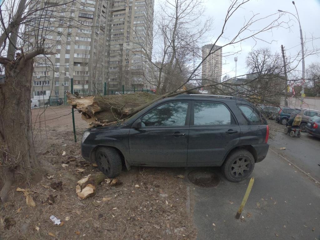 В результате пострадали два припаркованных рядом автомобиля - Kia Sportage и Daewoo Lanos