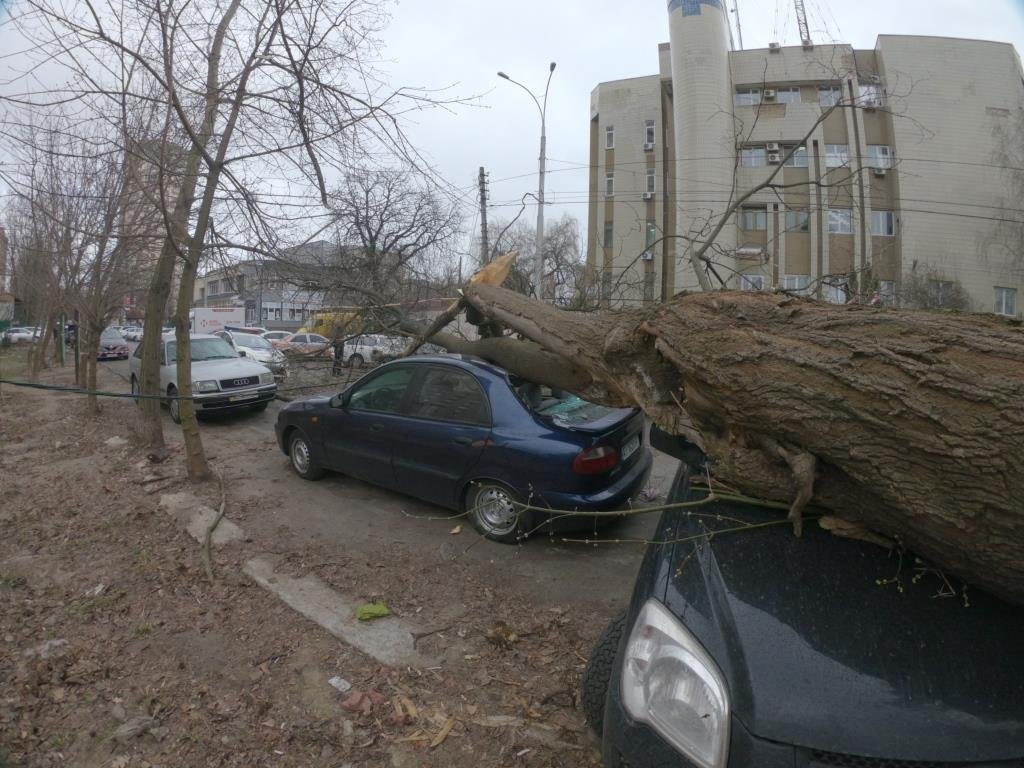 К счастью, обошлось без человеческих жертв