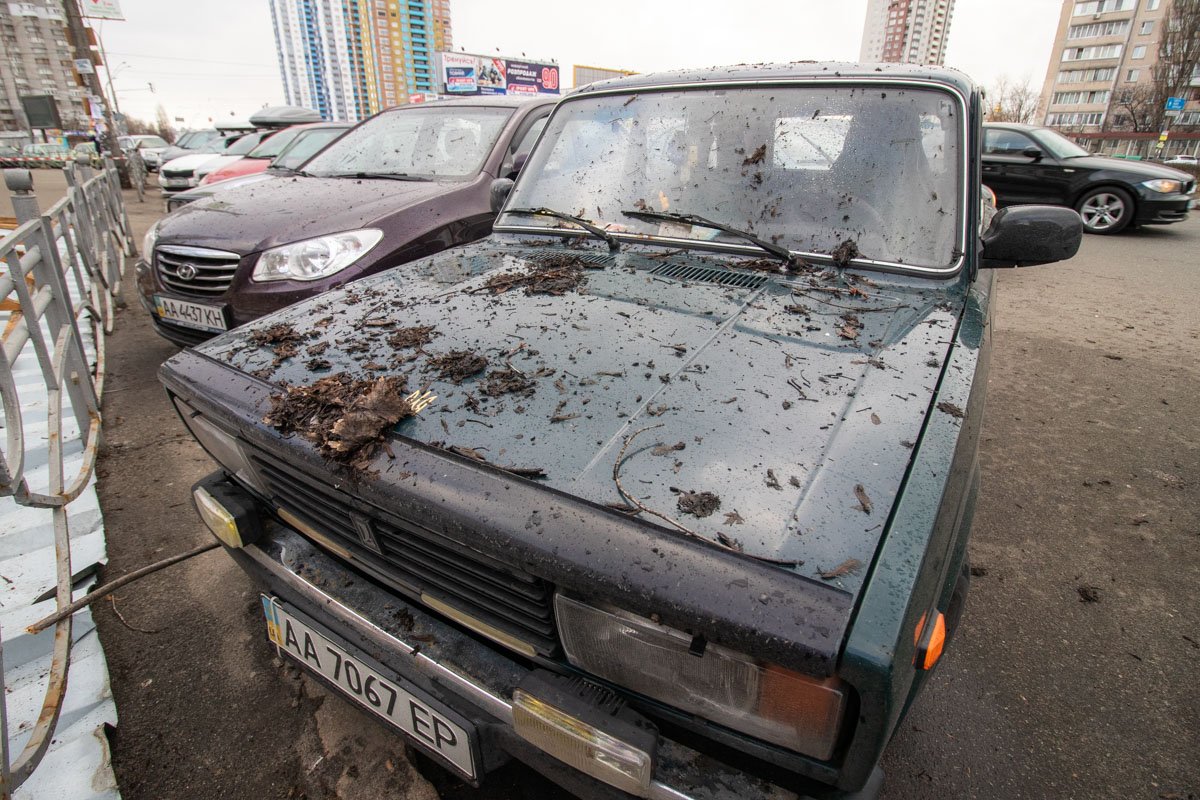 В понедельник, 11 марта, ветер в Киеве повредил десятки зданий, деревьев, автомобилей, столбов и остановок