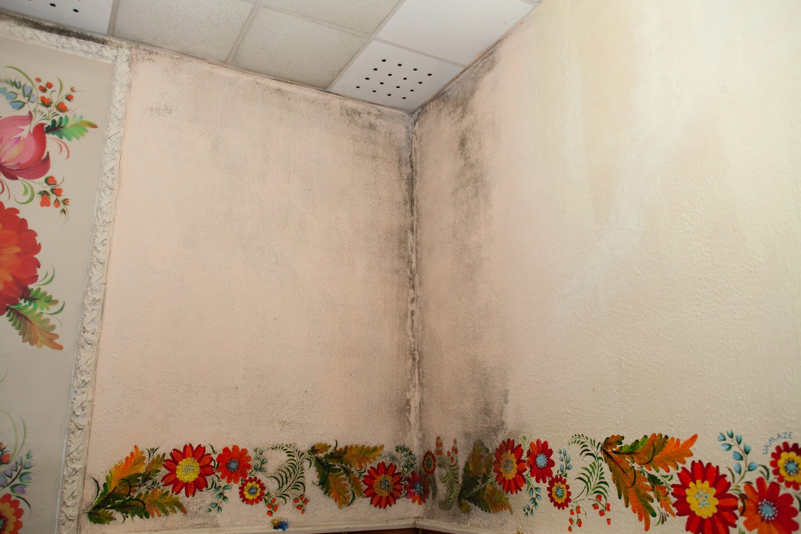 На стенах образовался грибок из-за сырости На стенах образовался грибок из-за сырости