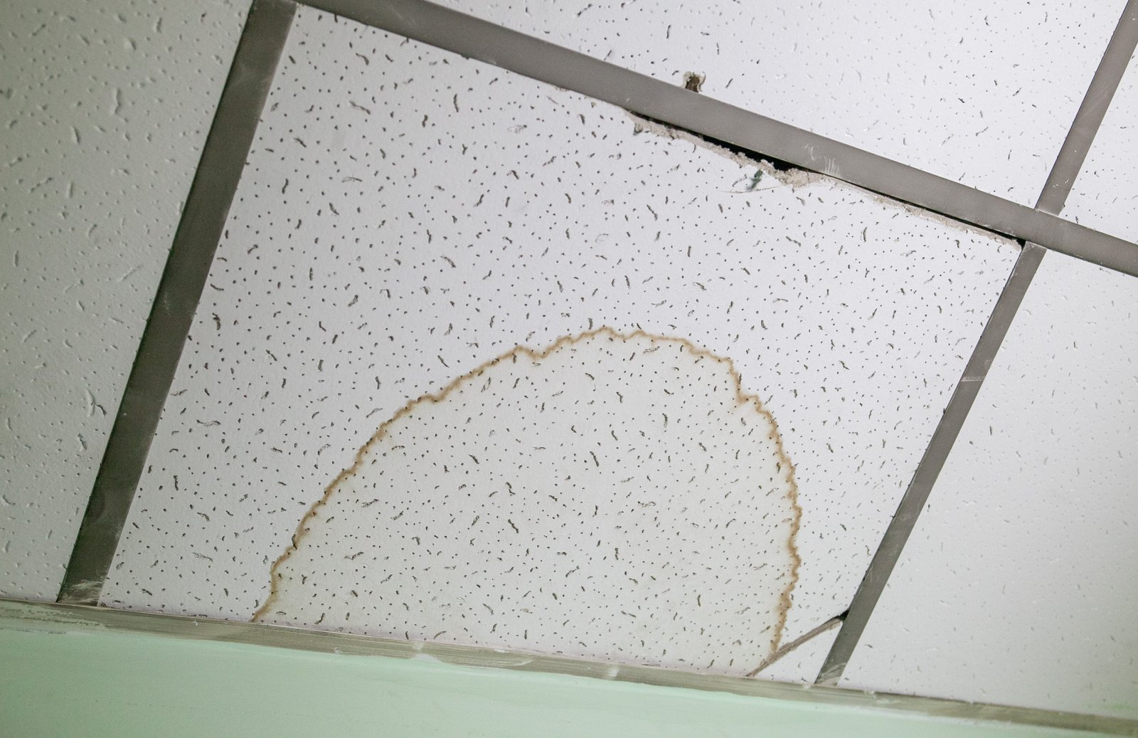 А на потолке пятна от воды А на потолке пятна от воды