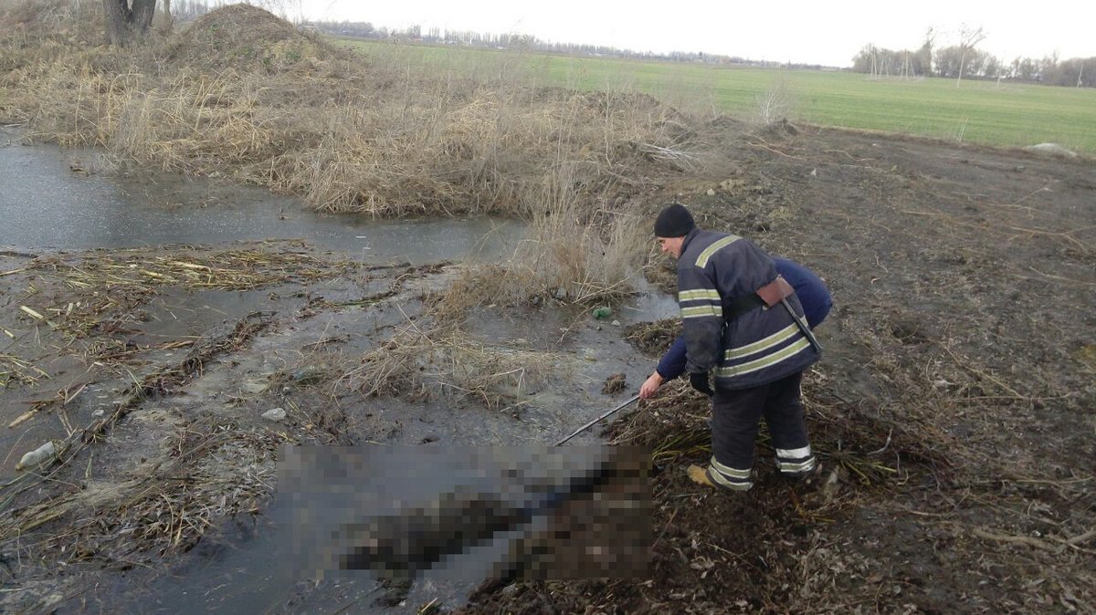 Тело 65-летней погибшей находилось в пруду на улице Колхозная