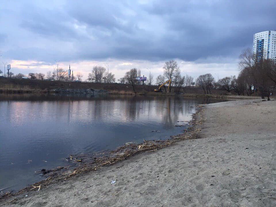 Мусор прибило к берегу и это выглядит действительно отвратительно