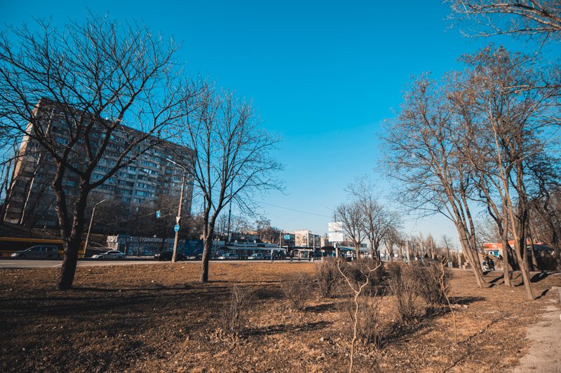 Массы пульпы растеклись по площади 30 гектаров