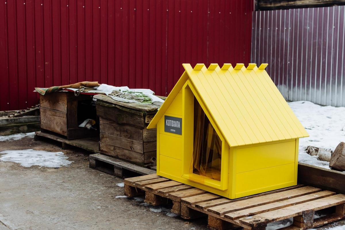 Так выглядит дом для уличных котов Киева Так выглядит дом для уличных котов Киева