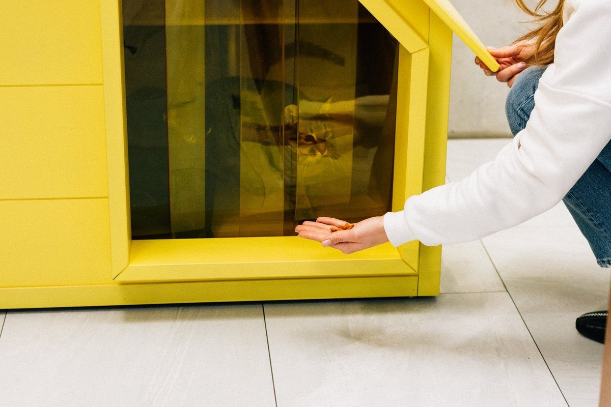 Такие домики должны появится в каждом районе Киева Такие домики должны появится в каждом районе Киева