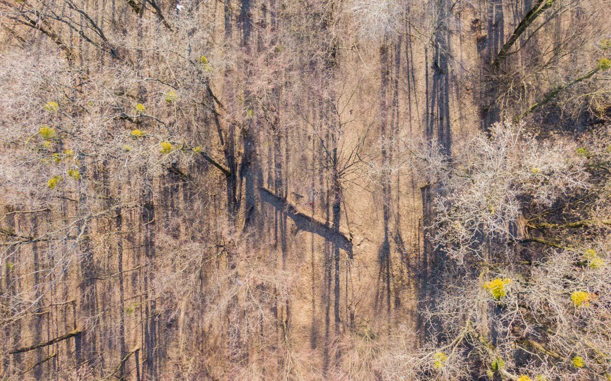 Хотя проблески ярко-зеленого цвета как-бы намекают на то, что весна уже с нами Хотя проблески ярко-зеленого цвета как-бы намекают на то, что весна уже с нами